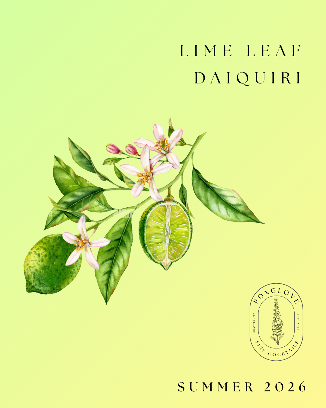 Lime Leaf Daiquiri